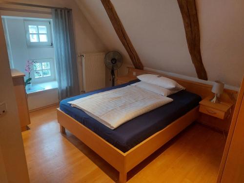 LastrupLandhaus Lastrup的一间带床的卧室,位于带窗户的房间内