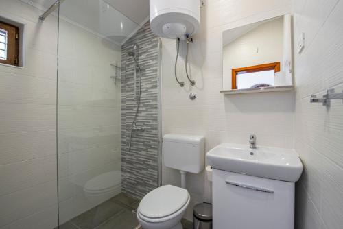 特斯特诺Apartment Barica的浴室配有卫生间、盥洗盆和淋浴。