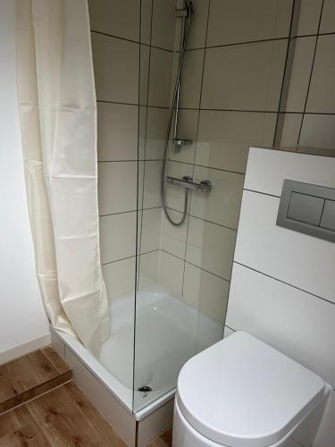 多鲁姆纽菲尔德Deich Winde 9.2的带淋浴和卫生间的浴室