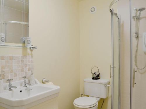 GreenfieldAlphin Apartment的浴室配有卫生间、盥洗盆和淋浴。