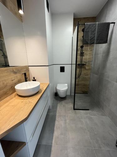 科沙林Apartament Studio Centrum的一间带水槽、淋浴和卫生间的浴室
