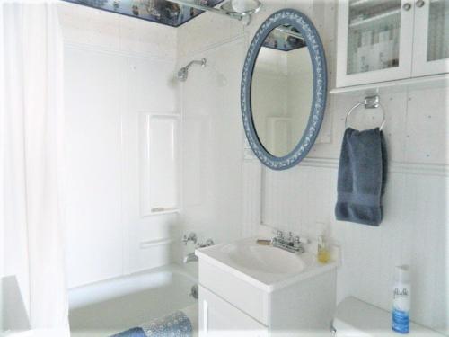 安吉利斯港PA Crows Nest Cottage的白色的浴室设有水槽和镜子