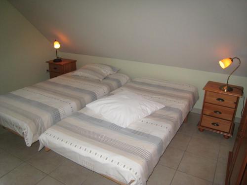 吕门De Kleen Meulen - max 6pers的一间卧室配有两张床,还有一个床头柜和两盏灯。