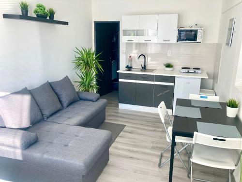 什图罗沃City Apartment的带沙发和桌子的客厅以及厨房。