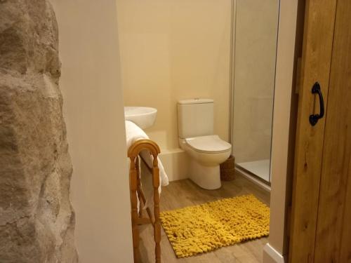 斯基普顿Henry's Cottage的一间带卫生间和淋浴的浴室以及黄色地毯。