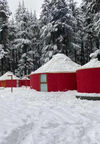 The Glamping Spot Kalam