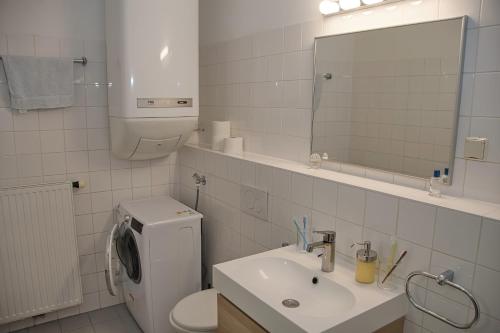 维也纳White Lotus Apartment的一间带水槽、卫生间和镜子的浴室