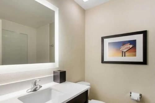 哥伦比亚Gallus Stadium Park Inn, Ascend Hotel Collection的白色的浴室设有水槽和镜子