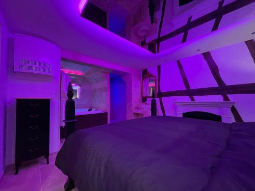 鲁昂Le Jacuzzi的一间卧室配有一张紫色灯床