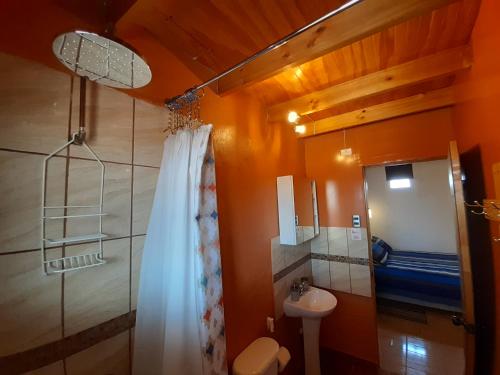 圣佩德罗·德·阿塔卡马Hostal Yurak的带淋浴、卫生间和盥洗盆的浴室