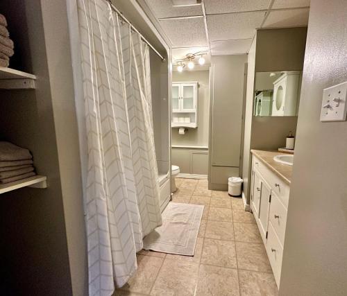 哈利法克斯Hiltz House Cellar Suite Near Halifax Ferry的浴室配有淋浴帘和盥洗盆。