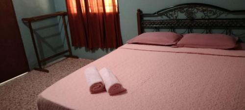 瓜拉大汉Durian Chalet的床上铺有粉红色床单和粉红色毛巾