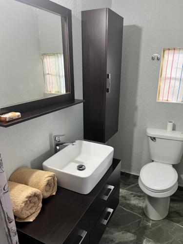 安东尼奥港Jamaica Colors Hotel and Eco-Retreat的一间带水槽、卫生间和镜子的浴室