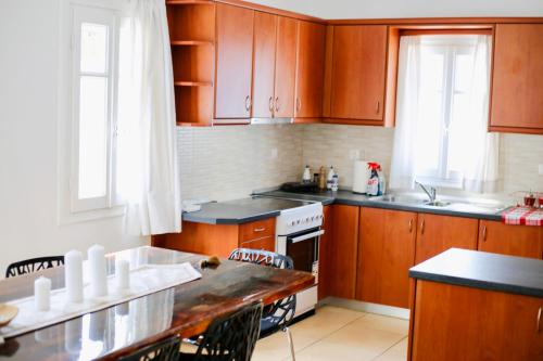 伊奥斯乔拉Villa Giulia, seaview villa的厨房配有木制橱柜和台面