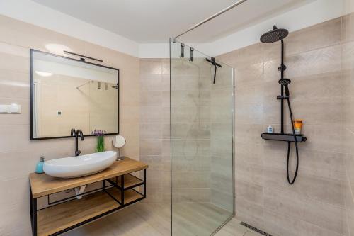 利纳迪奇Villa LIO with private pool的一间带水槽和淋浴的浴室