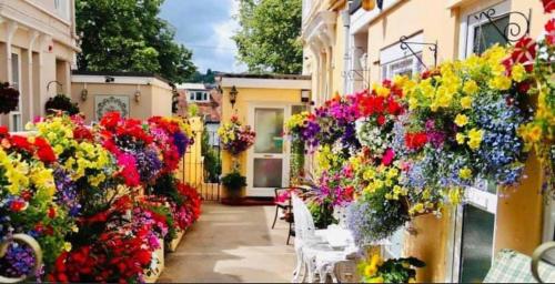 托基Crowndale Torquay - Exclusively for Adults的建筑物边的一束鲜花