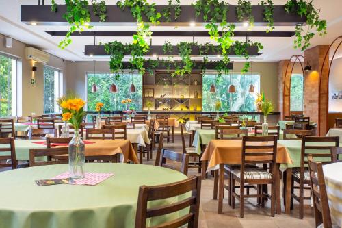 圣玛丽亚Hotel Dom Rafael Business的用餐室配有桌椅和植物