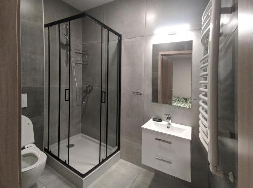 SufczynNoclegi URAN的带淋浴、卫生间和盥洗盆的浴室