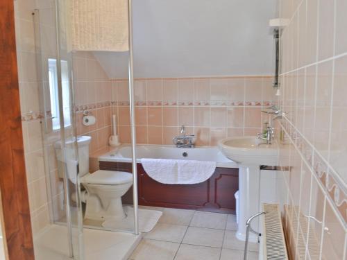 圣阿格尼丝班斯维尔度假屋的浴室配有卫生间、盥洗盆和淋浴。
