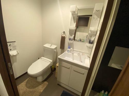 京都HOTEL KANSO - Vacation STAY 88798的一间带卫生间和水槽的小浴室