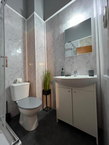 蒂米什瓦拉PENSIUNEA UNO的一间带卫生间、水槽和镜子的浴室