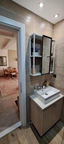 科帕奥尼克Apartman N101, Milmari, Kopaonik的一间带水槽和镜子的浴室
