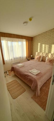 科帕奥尼克Apartman N101, Milmari, Kopaonik的一间带一张大床的卧室,位于带窗户的房间内
