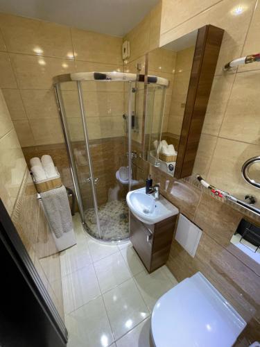 陶拉格Dviejų kambarių butas的带淋浴、卫生间和盥洗盆的浴室