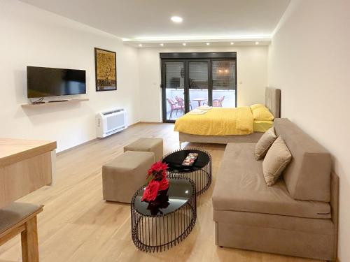 特雷比涅LanaMarija Apartment的客厅配有沙发和桌子
