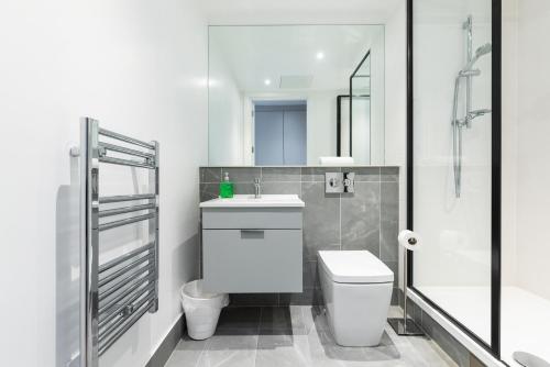 都柏林Woodward Square的浴室配有卫生间、盥洗盆和淋浴。