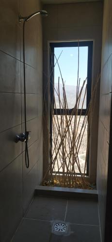 维库尼亚Casa Puclaro, terraza panorámica Valle del Elqui的美景浴室设有窗户和淋浴。