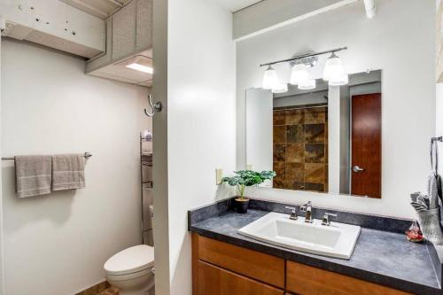 罗切斯特Centric Modern Loft w/ King Beds & Smart GameTable的一间带水槽和卫生间的浴室