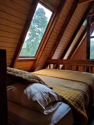 梅利佩乌科Alpinas de Sollipulli refugio sollipulli的小木屋内的一张床位,设有两个窗户