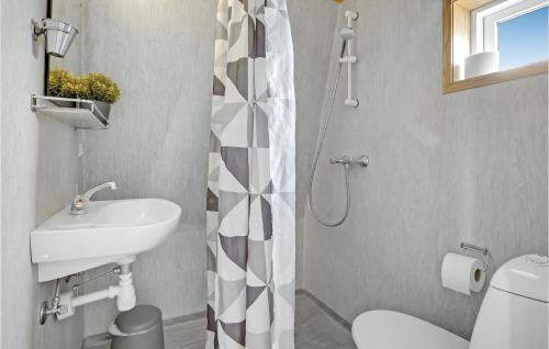 科灵Lovely Home In Kolding With Wifi的一间带水槽、卫生间和淋浴的浴室