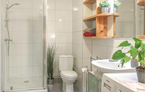 莫尔塞姆Awesome Apartment In Molsheim With 1 Bedrooms And Wifi的浴室配有卫生间、盥洗盆和淋浴。