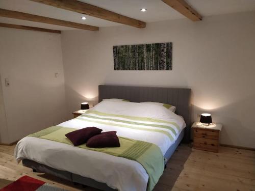 延巴赫Appartement Fischl的一间卧室配有一张大床和两个枕头