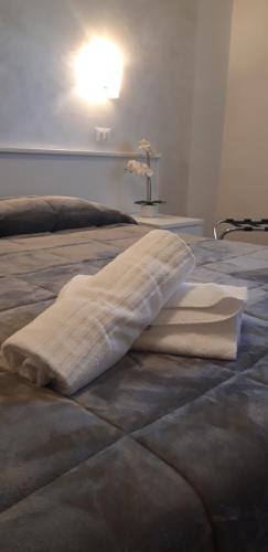 奥利亚格·迪米拉洛坎达伊尔博其罗酒店的床上铺着毯子,上面有灯
