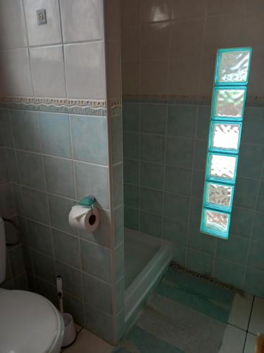 勒唐蓬FREDERIC FRANCOIS的带淋浴和卫生间的浴室以及窗户。