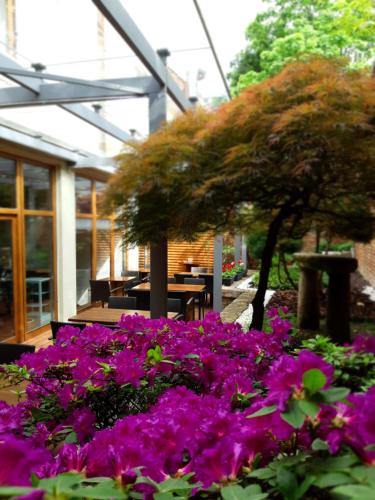 特尔纳瓦LONDON Boutique hotel & Restaurant的花园里的一束紫色花