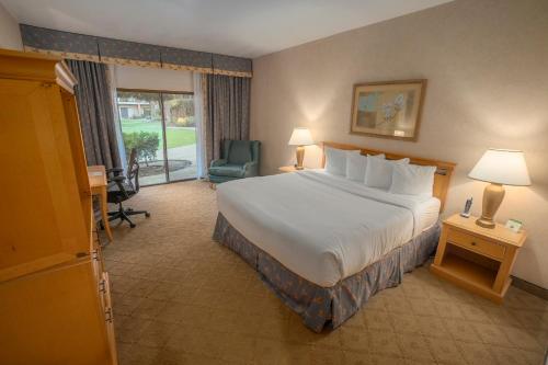 弗雷斯诺机场皮卡迪利酒店的配有一张床和一把椅子的酒店客房