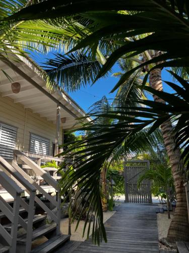 库尔克岛DreamCabanas的通往棕榈树房屋的木道