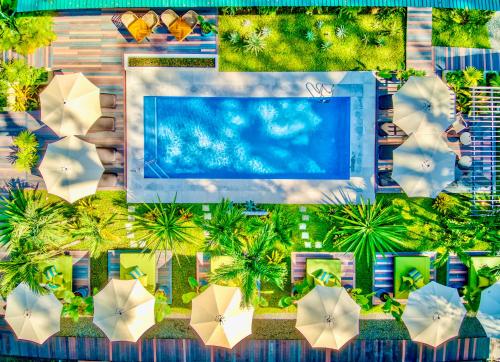 别霍港Exôtico Beach & Rooms的享有带遮阳伞的游泳池的顶部景致