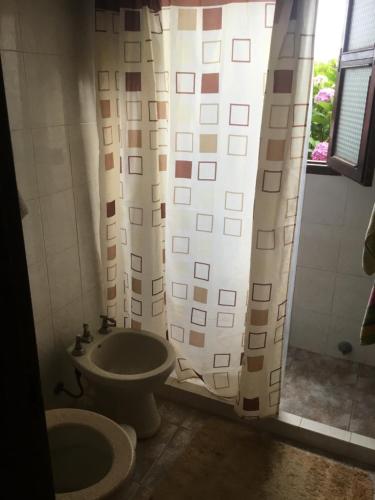 拉帕洛马La Rosada的一间带卫生间和淋浴帘的浴室