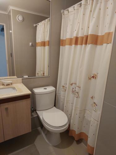 瓦尔迪维亚Bienvenidos a Valdivia的一间带卫生间和淋浴帘的浴室