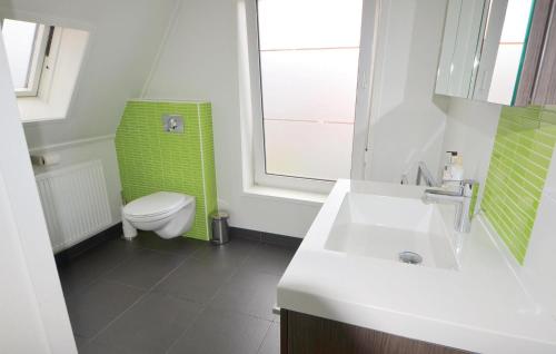 布雷斯肯斯Nice Home In Breskens With Wifi的浴室配有白色水槽和卫生间。
