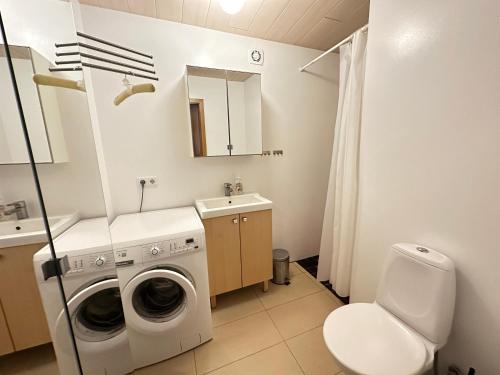 雷克雅未克An elegant studio apartment in Reykjavik - Great Location的一间带洗衣机和水槽的浴室