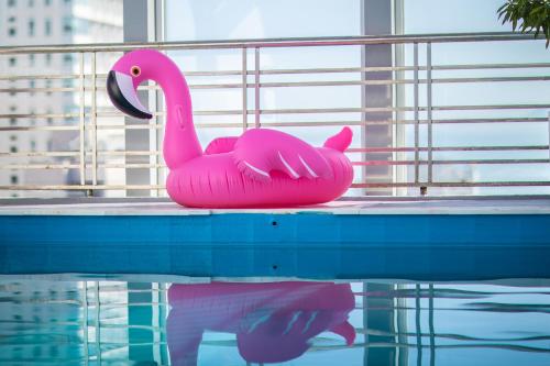 芽庄Moonlight Nha Trang Hotel的游泳池边的粉红色火烈鸟玩具