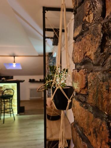 萨拉热窝Gondola Apartment的一间石墙客房,内有盆栽植物
