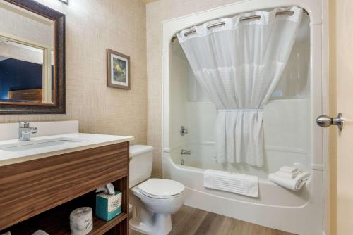 惠特比惠特比品质套房的一间带水槽、卫生间和淋浴的浴室