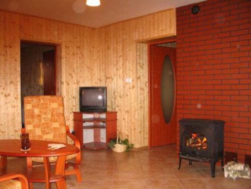 KaliskaAgroturystyka Leśna Wyspa的客厅设有壁炉和电视。